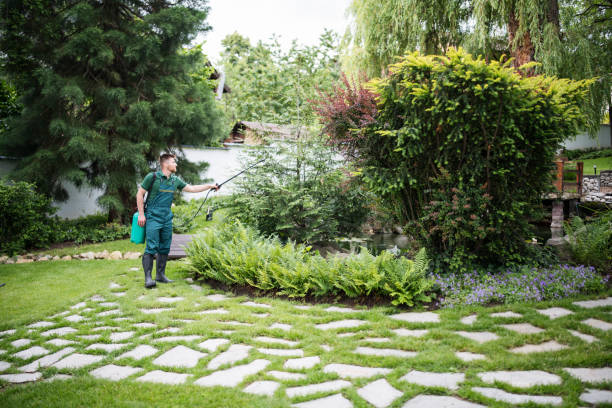 Professional Pest Control in Redfield, AR