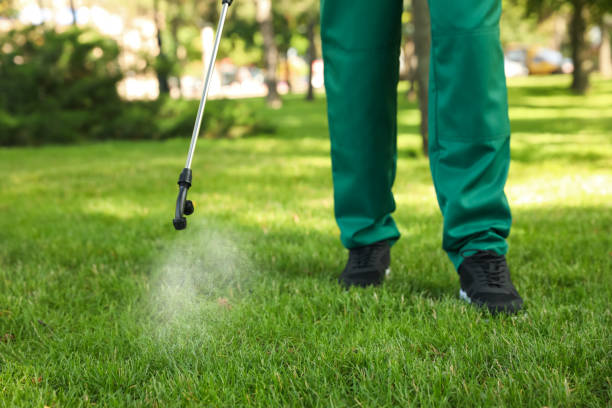 Best Wasp Removal Services  in Redfield, AR