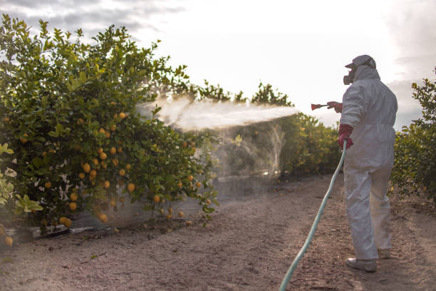 Best Commercial Pest Control Services  in Redfield, AR