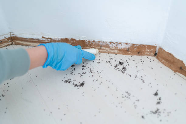 Best Exterminator Services  in Redfield, AR