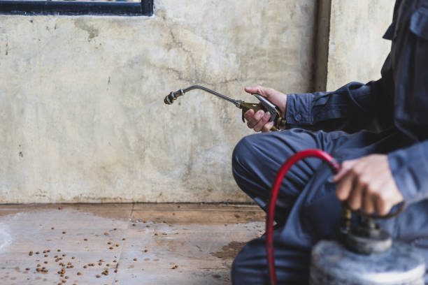 Best Emergency Pest Control  in Redfield, AR